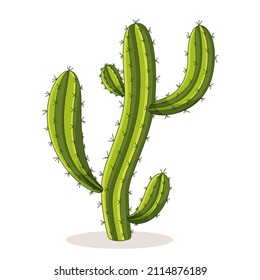 Cactus with thorns. Mexican green plant with spines. Element of the desert and southern landscape. Cartoon flat vector illustration. Isolated on white background.