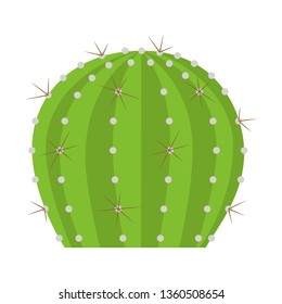 Cactus with thorns on white background. Cactus icon in flat style. Design element for wallpaper, greeting card, poster, flyer, banner print
