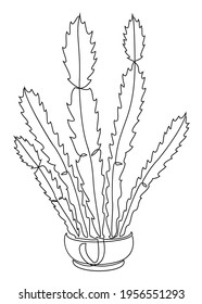 Cactus three-stem. Indoor potted plant in modern trendy single line style. Solid line, outline for decor, posters, stickers, logo. Vector illustration.