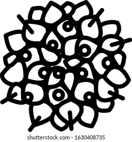 Cactus top view icon. Black and white line vector illustration. Succulent pattern.