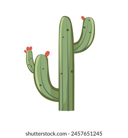 Cactus tree cartoon illustration, cacti desert plant isolated, flat cartoon style