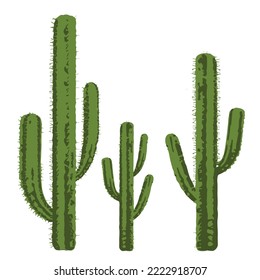 cactus tree desert plant vector design