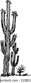 cactus tree graphic design vector art