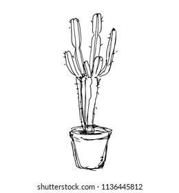 Cactus tree. Hand drawn sketch vector illustration on white background. Black & white.
