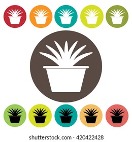 Cactus and tree icons set.Vector illustration