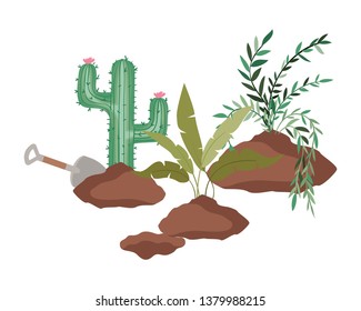 cactus and tree to plant isolated icon