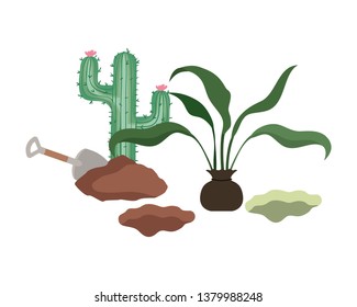 cactus and tree to plant isolated icon