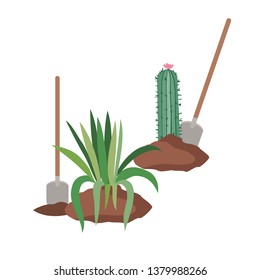 cactus and tree to plant isolated icon
