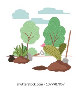 cactus and tree to plant in landscape