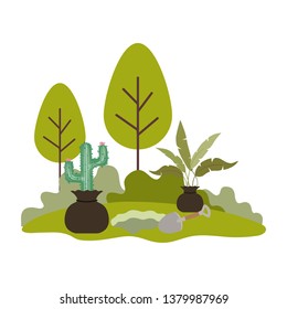 cactus and tree to plant in landscape