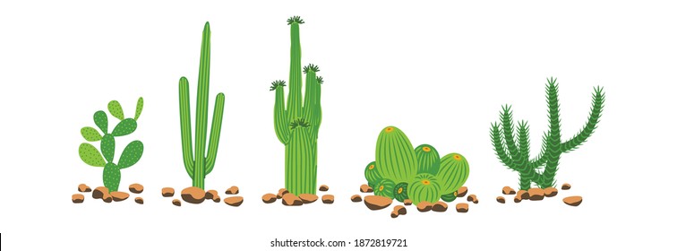 Cactus tree is a plant that usually lives in dry areas (desert). Cactus can also grow for a long time without water. The spines are leaves, so they can reduce water evaporation through the leaves