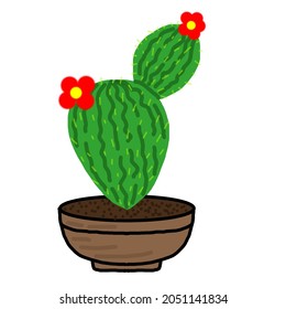 Árbol de cactus en una olla