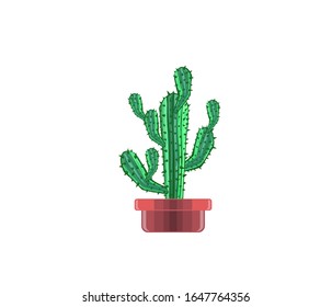 cactus tree in a pot. home decoration tree vector isolated.