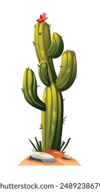 Cactus tree vector illustration isolated on white