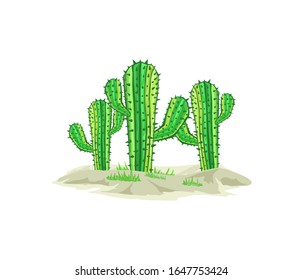 cactus tree vector isolated on white