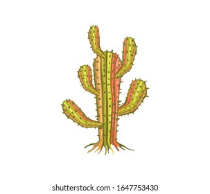 cactus tree vector isolated on white