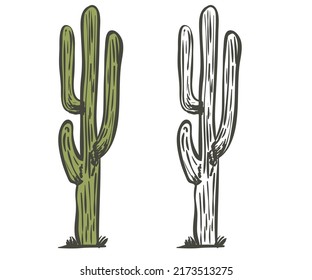 Cactus tree vector set. Desert plant for fashion, poster, batch, sticker and others uses. Hand sketch graphic black white cactus vector.