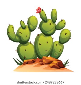 Cactus trees on the ground vector illustration isolated on white