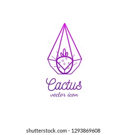 Cactus in triangle terrarium. Modern interior decor. vector thin line icon