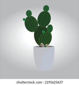 cactus in a vase, for design, materials, layers, backgrounds, ornaments, editing..