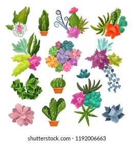 Cactus vector cartoon botanical potted cacti with tropical flowers and flowering cactaceous succulent plant botany illustration set of flowerpot for home interior decor isolated on white background