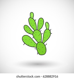 Cactus vector cartoon icon with round shadow