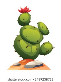 Cactus vector cartoon illustration isolated on white