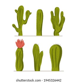 Cactus vector cartoon set isolated on a white background.