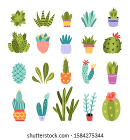 Cactus vector collection. Cute succulents and cacti illustrations on white background. Home plants set