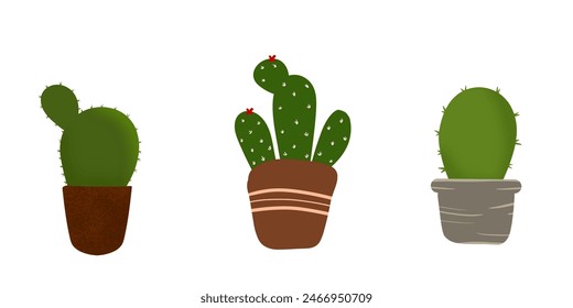 Cactus vector collection set. Thorny desert plants.