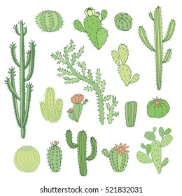 cactus vector color set