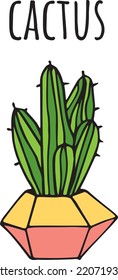 Cactus vector colorful hand  drawing illustration