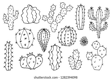 Cactus vector doodle cartoon Hand drawn illustrations set