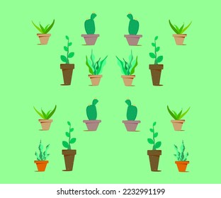 vector de cactus, vector de jardín, decorativo, decoración.