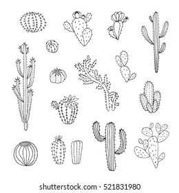 cactus vector graphic set