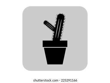 Cactus vector icon