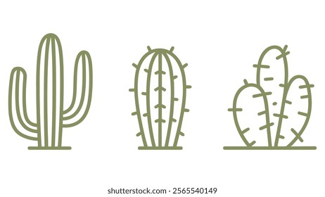 Cactus vector. icon. decorative plant
