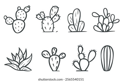Cactus vector. icon. decorative plant