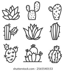 Cactus vector. icon. decorative plant