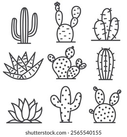 Cactus vector. icon. decorative plant
