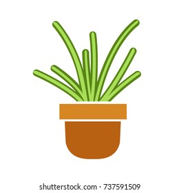 Cactus vector. Cactus icon. Cactus in flower pot