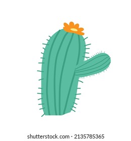Cactus vector icon. Cactus illustration sign. desert symbol or logo.