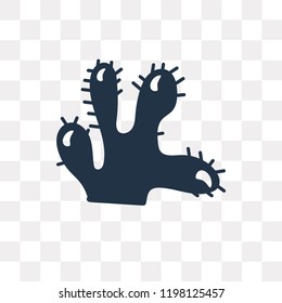 Cactus vector icon isolated on transparent background, Cactus transparency concept can be used web and mobile