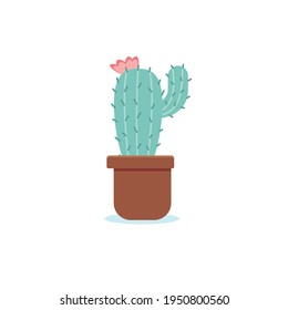 Cactus vector icon isolated on white background eps. 10