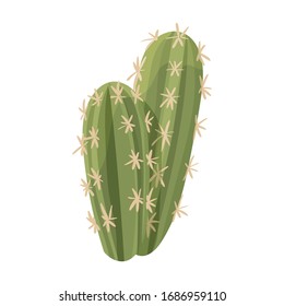 Icono de vector de cactus.Icono de vector de caricatura aislado en cactus de fondo blanco.