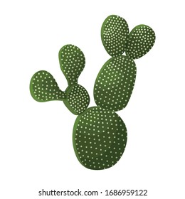Cactus vector icon.Cartoon vector icon isolated on white background cactus .