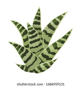 Icono de vector de cactus.Icono de vector de caricatura aislado en cactus de fondo blanco.