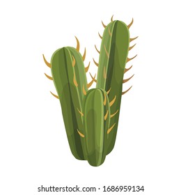 Cactus vector icon.Cartoon vector icon isolated on white background cactus .