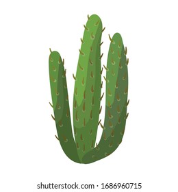 Cactus vector icon.Cartoon vector icon isolated on white background cactus .