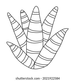 Cactus vector icon.Outline vector icon isolated on white background cactus .